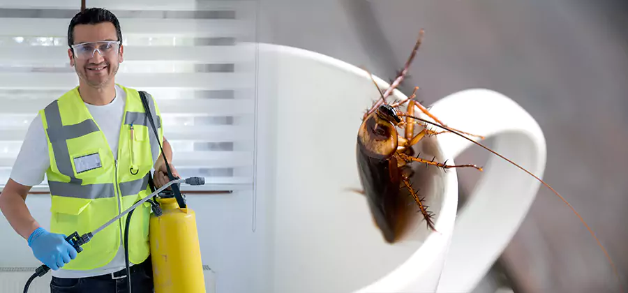 German Roach Infestation Treatment Griffin