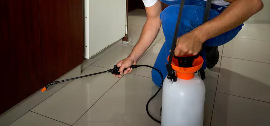 Indoor Mosquito Treatment in Griffin