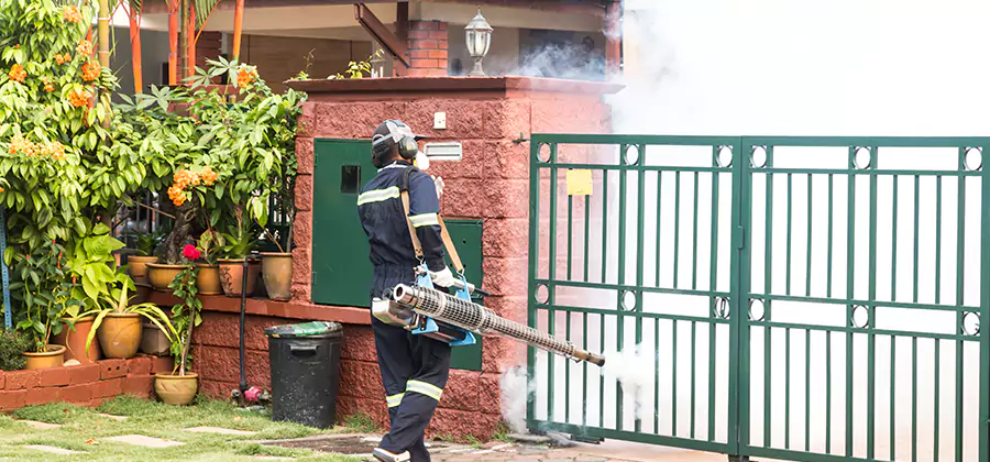 Backyard Mosquito Foggers Service in Griffin