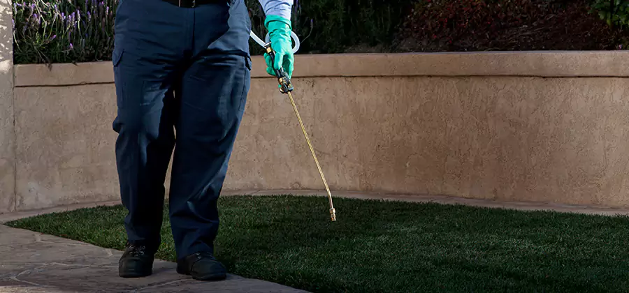 Soil Treatment for New Construction Termites in Griffin
