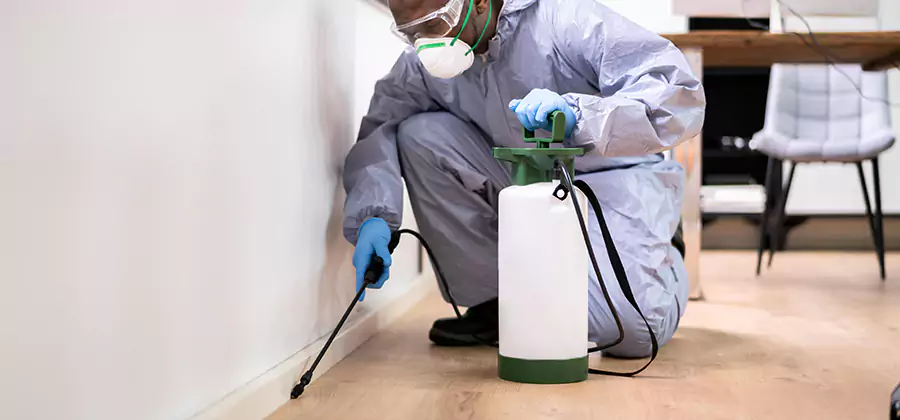 No Tent Termite Extermination With Electric Tool in Griffin