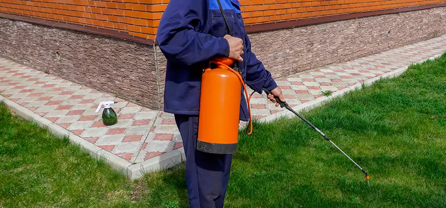Non Toxic Termite Treatment in Griffin