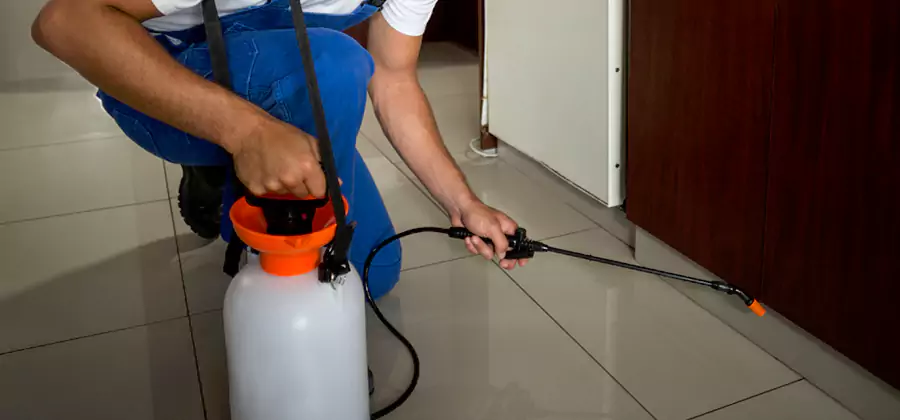 One Time Termite Control in Griffin