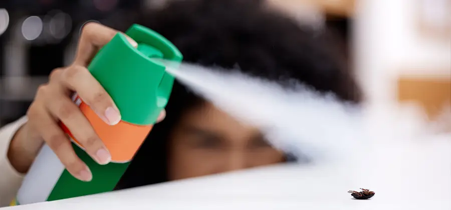 Child Safe Bed Bug Treatment in Griffin