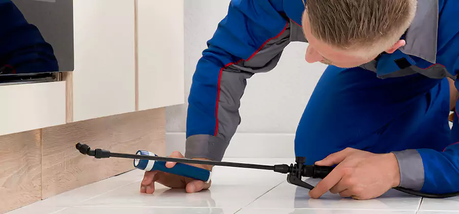 Moisture Treatment For Termite Control Service in Griffin