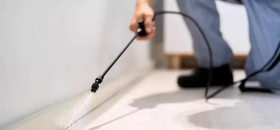 Direct Termite Injection Treatment in Griffin