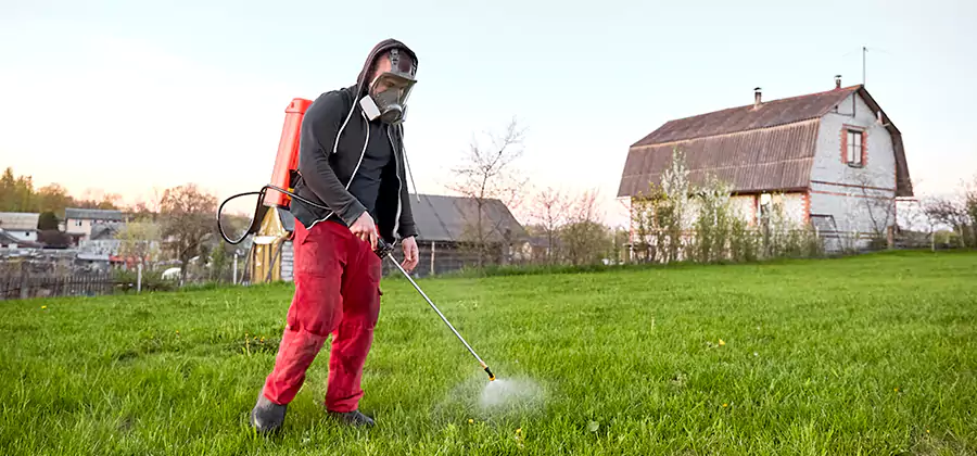 Flea and Tick Pest Control in Griffin