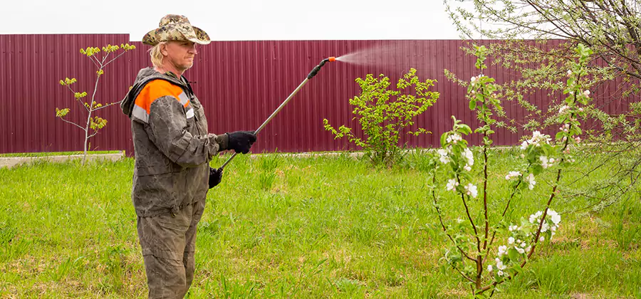 Flea and Tick Spray for Yard in Griffin