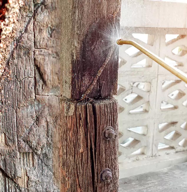 Why Choose Griffin Pest Control Pro for Attic Termite Treatment in Griffin, GA?