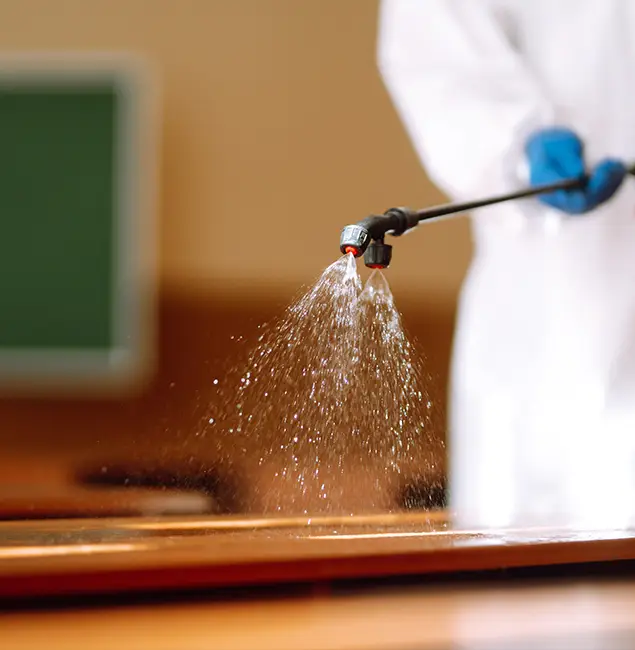 Why Choose Griffin Pest Control Pro for Bed Bug Chemical Treatment in Griffin, GA?