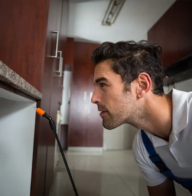 Why Choose Griffin Pest Control Pro for Bed Bug Removal Cost in Griffin, GA?