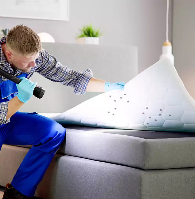 Why Choose Griffin Pest Control Pro in Griffin, GA?