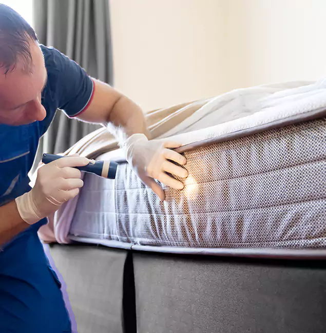 Why Choose Griffin Pest Control Pro for Bed Bug Services in Griffin, GA?