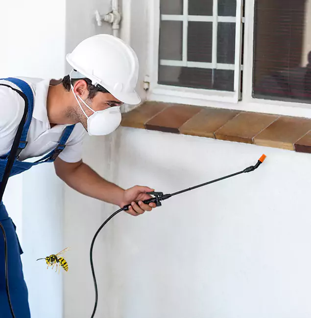 Why Griffin Property Owners Choose Griffin Pest Control Pro for Bee Nest Removal?