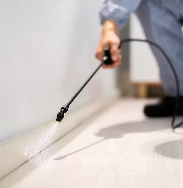 Why Choose Griffin Pest Control Pro for Termite Treatment in Griffin, GA?