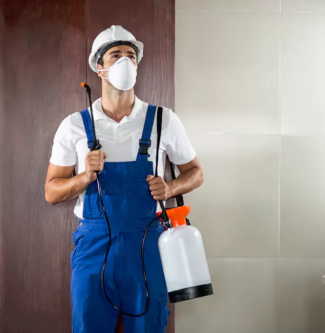 Why Choose Us for Heat Treatment for Termites in Griffin, GA?