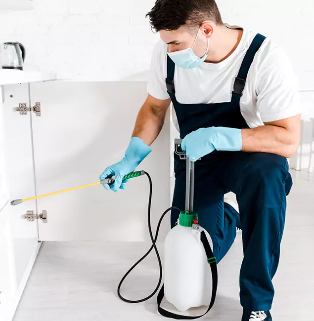 Why Choose Griffin Pest Control Pro for Indoor Pest Control in Griffin, GA?