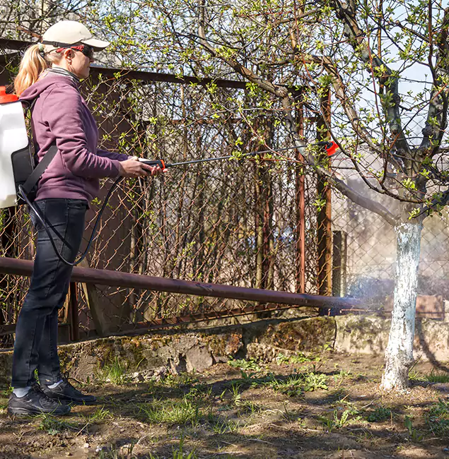 Why Griffin Homeowners Choose Griffin Pest Control Pro for Mosquito Abatement?