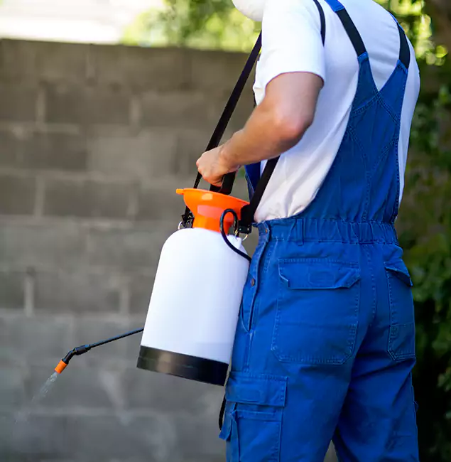 Why Griffin Homeowners Rely on Griffin Pest Control Pro for Mosquito Control?