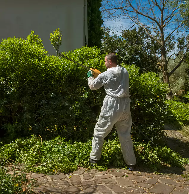 Why Griffin Pest Control Pro Leads Mosquito Control in Griffin, GA?