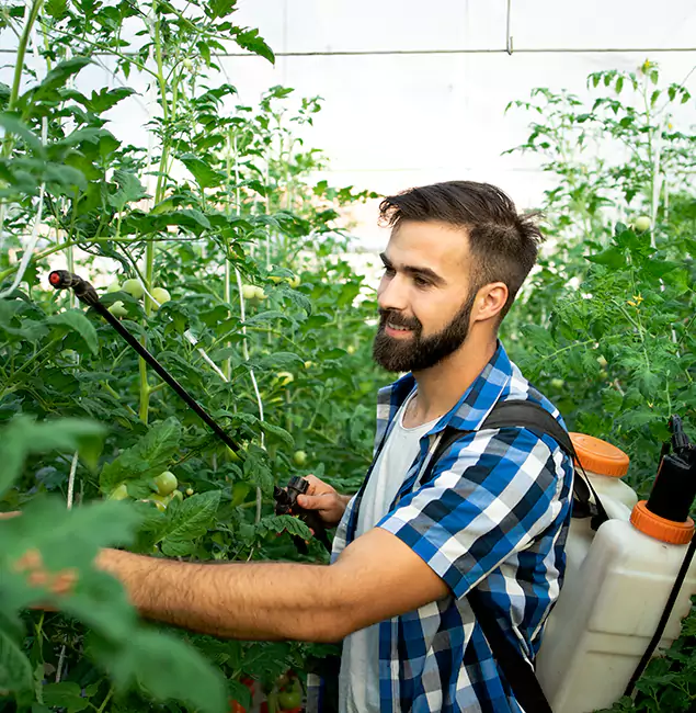 Why Griffin Homeowners Choose Griffin Pest Control Pro for Mosquito Spraying?