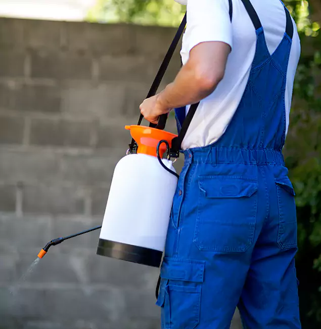 Why Griffin Pest Control Pro Delivers the Best Mosquito Control in Griffin, GA?