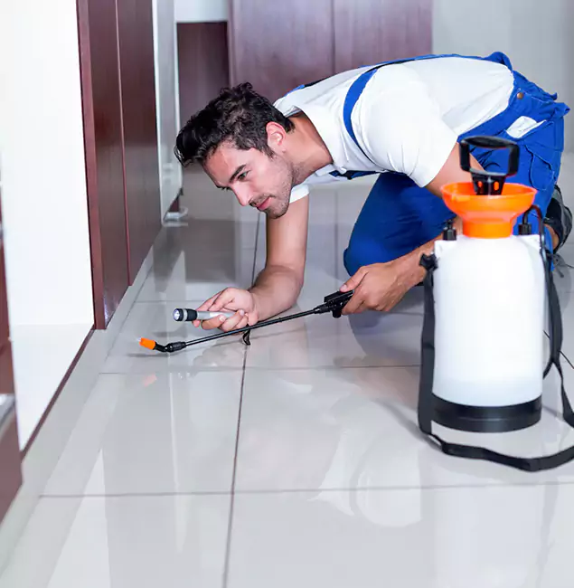 Why Griffin Pest Control Pro Is the Proven Choice in Griffin, GA?