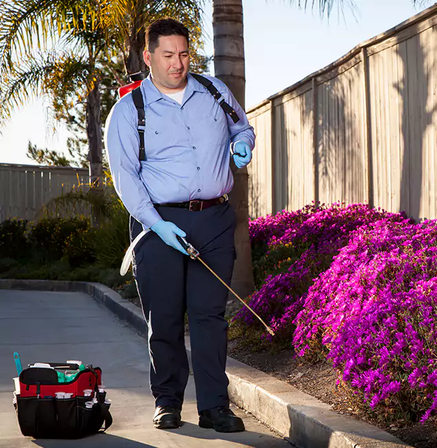 Why Choose Griffin Pest Control Pro in Griffin, GA?