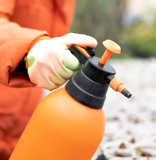 Why Choose Griffin Pest Control Pro for Orange Termite Treatment in Griffin, GA?