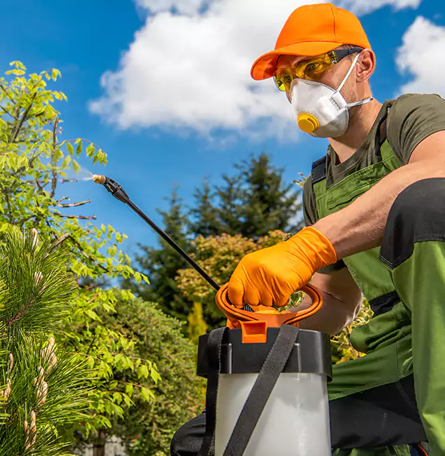 Why Choose Griffin Pest Control Pro for Outdoor Pest Control in Griffin, GA?