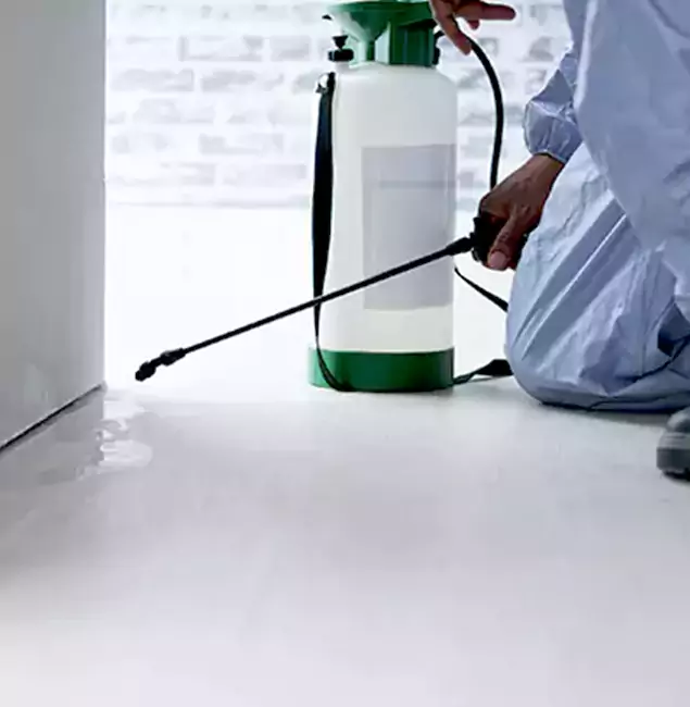 Why Choose Griffin Pest Control Pro for Rat Exterminator in Griffin, GA?