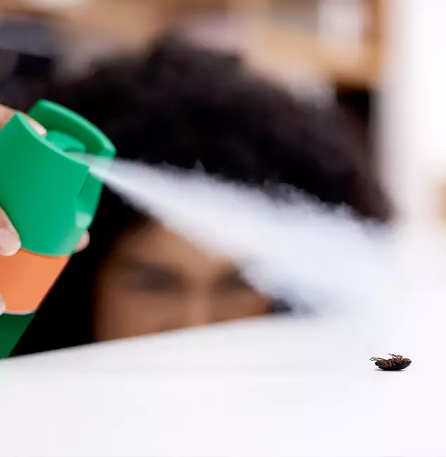 Why Griffin, GA Homeowners Choose Griffin Pest Control Pro for Roach Pest Control?