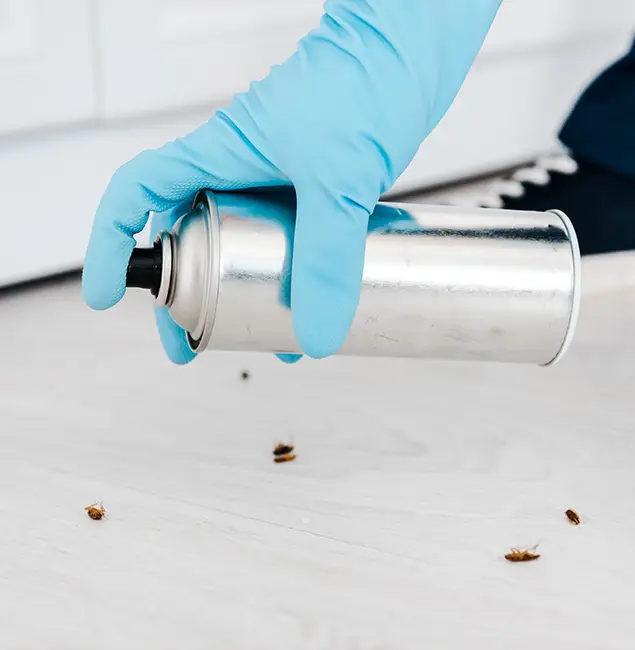 Why Choose Griffin Pest Control Pro for Safe Bed Bug Treatment in Griffin, GA?