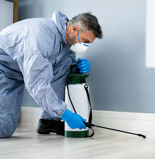 Why Choose Griffin Pest Control Pro for Subterranean Termites Treatment in Griffin, GA?