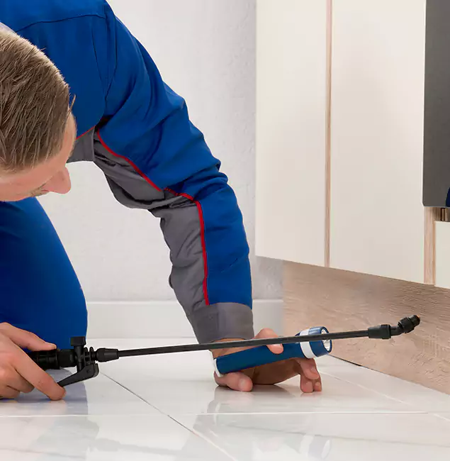 Why Griffin Residents Choose Griffin Pest Control Pro to Get Rid of Sugar Ants?