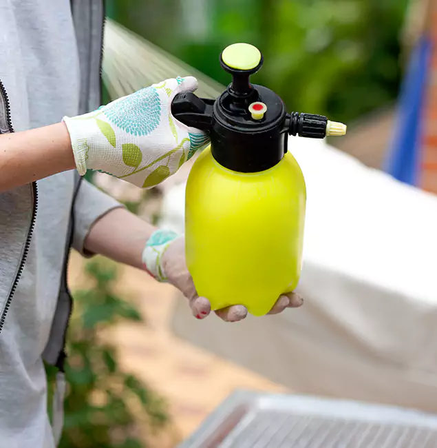 Why Choose Us: Griffin Pest Control Pro Termite Spraying Experts in Griffin, GA?