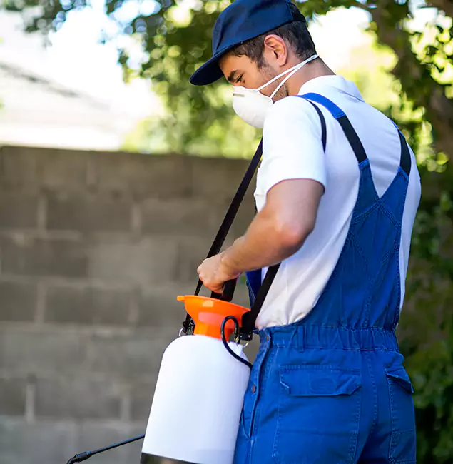 Why Griffin Pest Control Pro Is the Right Choice for Yellow Jacket Removal in Griffin, GA?