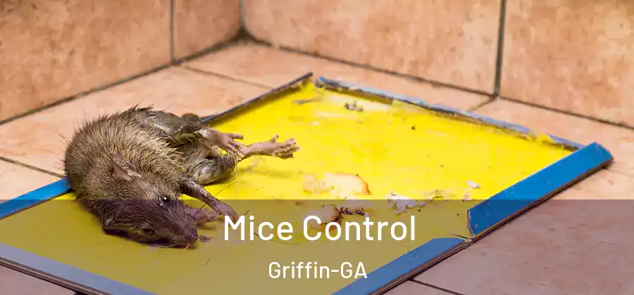 Mice Control Griffin-GA