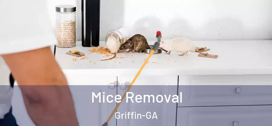Mice Removal Griffin-GA