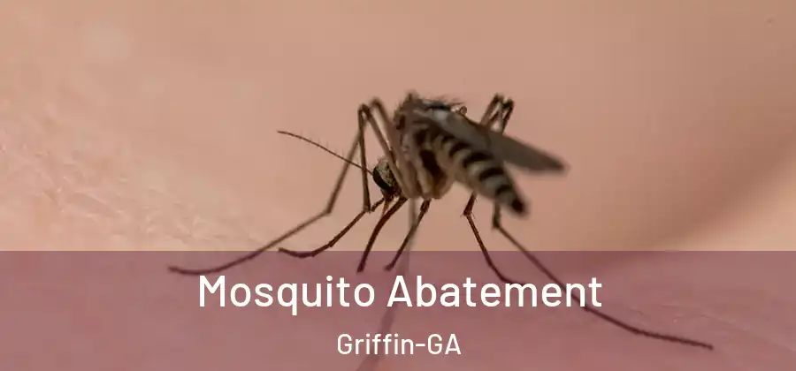 Mosquito Abatement Griffin-GA