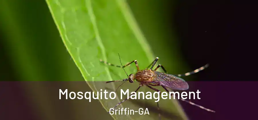  Mosquito Management Griffin-GA