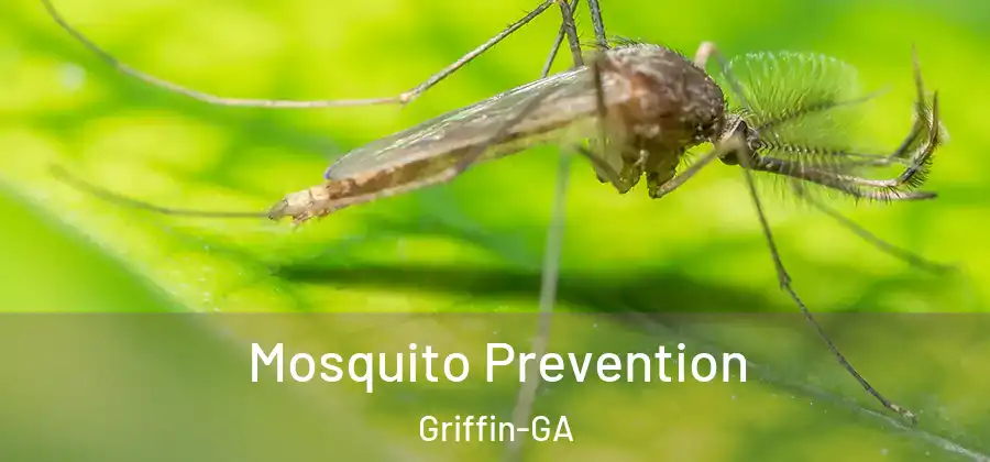 Mosquito Prevention Griffin-GA