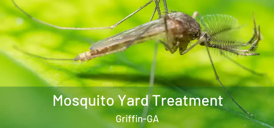 Mosquito Yard Treatment Griffin-GA