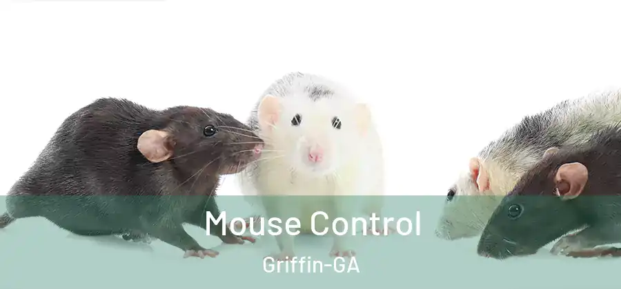 Mouse Control Griffin-GA