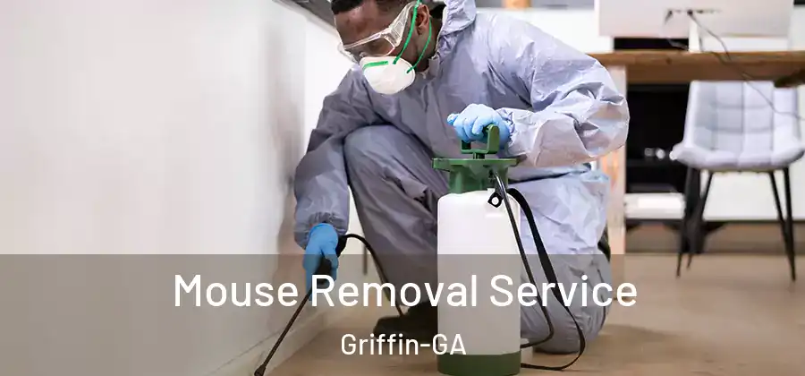 Mouse Removal Service Griffin-GA