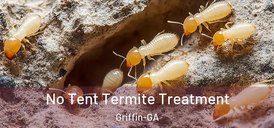 No Tent Termite Treatment Griffin-GA
