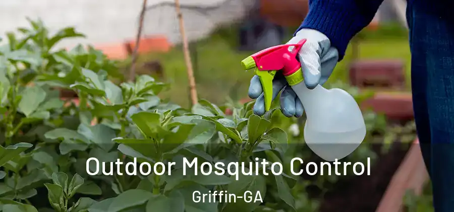 Outdoor Mosquito Control Griffin-GA
