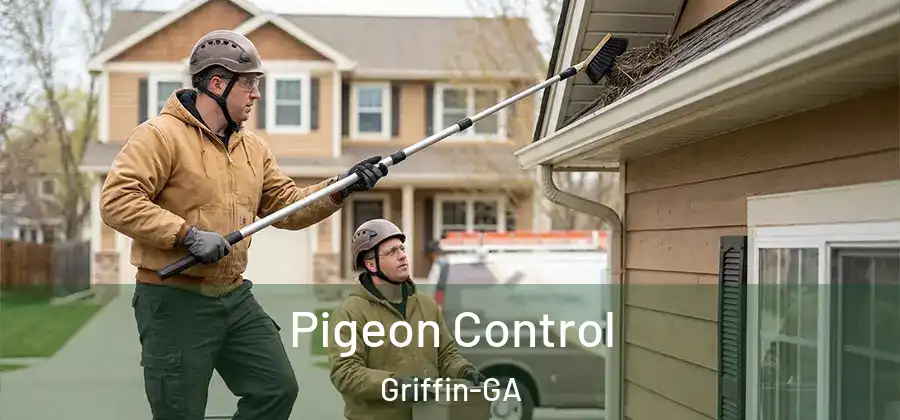 Pigeon Control Griffin-GA