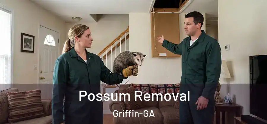 Possum Removal Griffin-GA
