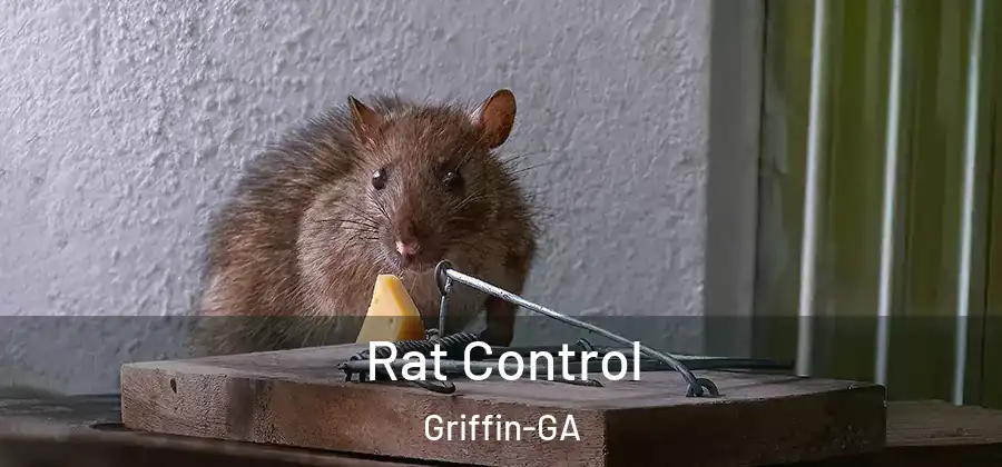  Rat Control Griffin-GA